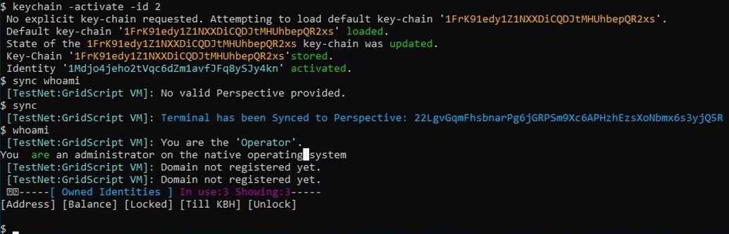 Issues with keychain identity management - Bug Reports - GRIDNET Community